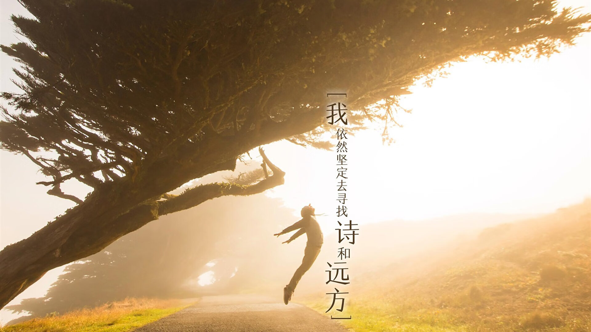 全国自行车多日穿越赛，体验长途骑行的耐力考验，自行车越野赛全程220km