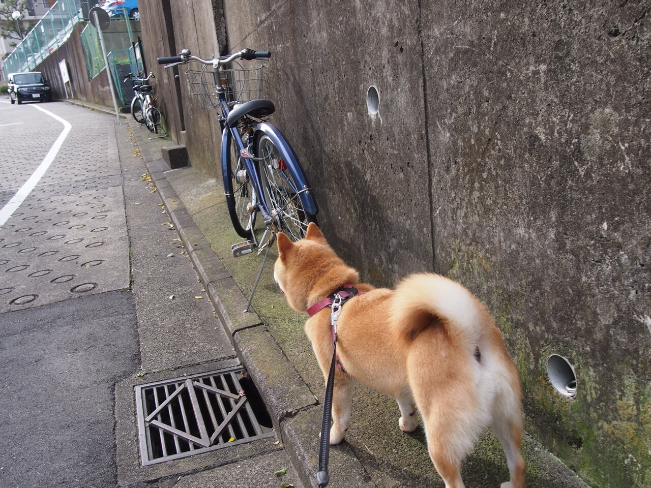 托桑·埃夫布奥姆万在NBA常规赛中砍下22分，布冯和埃托奥